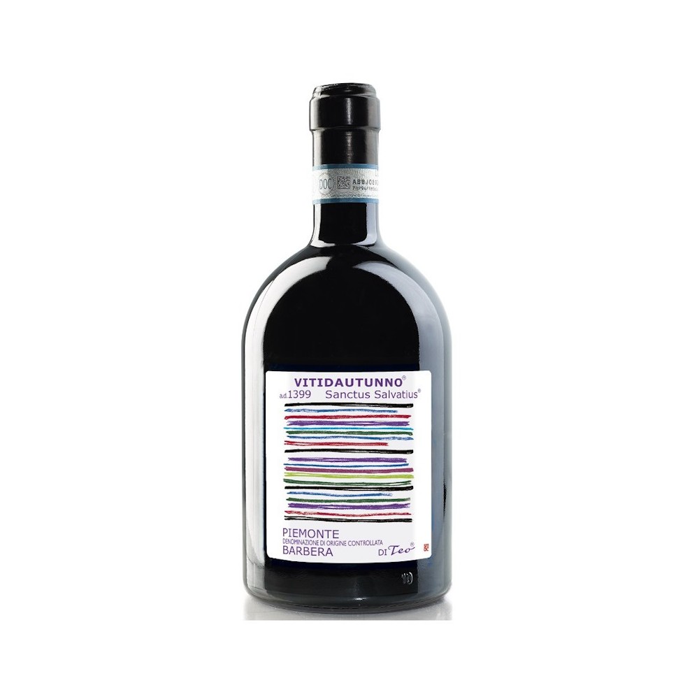 BARBERA PASSITO 2021, VITIDAUTUNNO, TEO COSTA 0.75 L