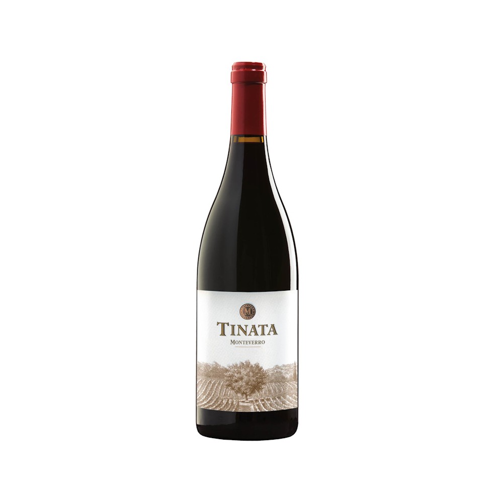 TOSCANA IGT 2020, TINATA, MONTEVERRO 0.75 L